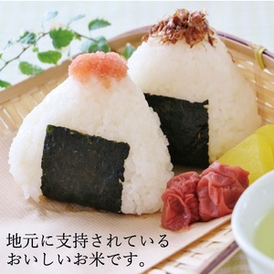 SC0696　令和7年産【精米】ひとめぼれ　10kg(5kg×2袋) JS