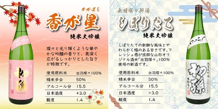 SG0070　【四季の酒田の酒まつり頒布会】　初孫純米大吟醸1800ml×1本(全4回)