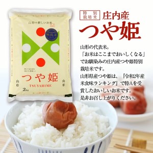 SC0304　【6回定期便】無洗米 特別栽培米つや姫　2kg×6回(計12kg) SA