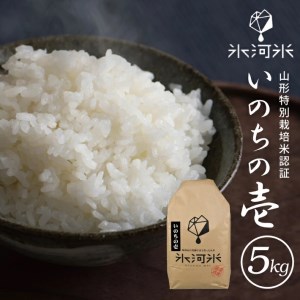 SA1369 令和4年産【精米】いのちの壱 5kg 農家直送『氷河米』 AG