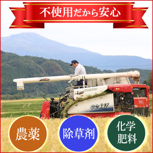 SA2748 令和7年産【玄米】ひとめぼれ 5kg〔やまがた有機農業の匠〕 HA