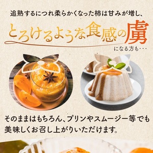 SA2880　庄内柿　約7.2kg(40玉入)　Mサイズ