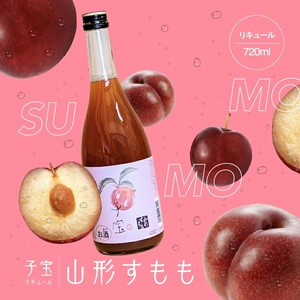 SZ0136 酒田の酒屋厳選 子宝リキュール 山形すもも 720ml×1本