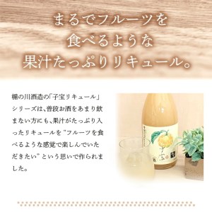 SZ0140 酒田の酒屋厳選 子宝リキュール 番外編ゆず 720ml×1本