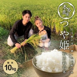 SA1472 令和4年産【精米】特別栽培米 つや姫10kg(5kg×2袋) HO