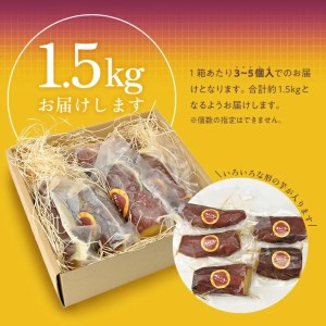 SA1502　壺やきいも　計約1.5kg(3～5個入) 【冷凍便】