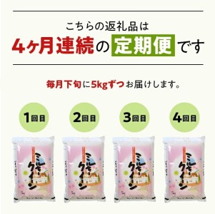 SF0108 【4回定期便】令和5年産 特別栽培米 ミルキークイーン 5kg×4回