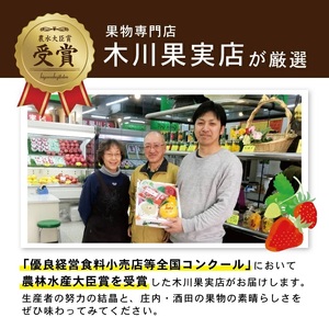 SF0294　【3回定期便】酒田の果物専門店厳選　くだもの定期便2026 (小玉すいか、アールスメロン、和梨)