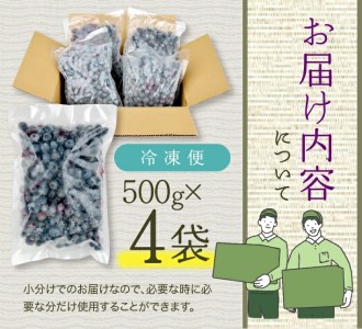 SA2400　冷凍ブルーベリー　約2kg(500g×4パック)