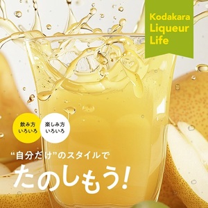 SZ0175　酒田の酒屋厳選　子宝リキュール 山形ラフランス　720ml×1本