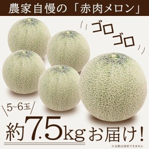 SA2539　庄内メロン/赤肉　レノンウェーブ　約7.5kg(5～6玉入)