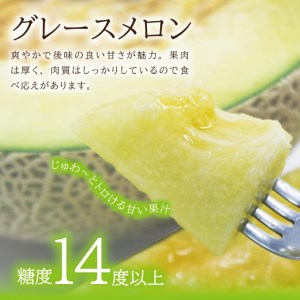 SA2541　庄内メロン/青肉　グレース　約7.5kg(5～6玉入)