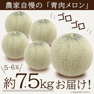 SA2541　庄内メロン/青肉　グレース　約7.5kg(5～6玉入)