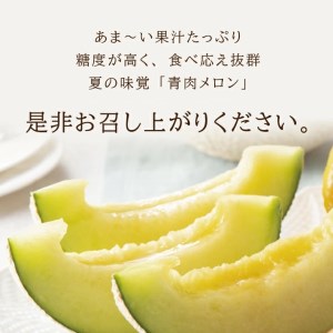 SA2541　庄内メロン/青肉　グレース　約7.5kg(5～6玉入)