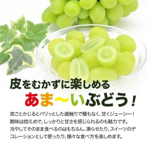 SA2544　シャインマスカット　約900g(150g×6パック)