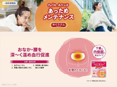 SF0220　めぐりズム 蒸気の温熱シート【下着の内側面に貼るタイプ】　120枚(5枚入×24箱)