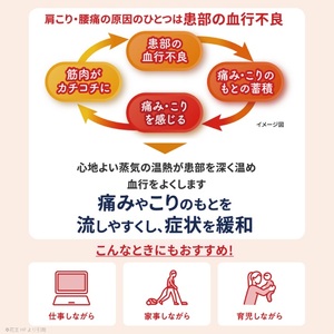 SF0220　めぐりズム 蒸気の温熱シート【下着の内側面に貼るタイプ】　120枚(5枚入×24箱)