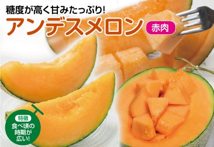 SA2963　庄内砂丘メロン アンデスメロン(赤肉) 大玉2玉　計3.6kg以上　つる付き