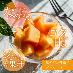 SA2582　庄内砂丘の旬夏 「秀品 赤肉メロン」　約5kg(4～6玉入)