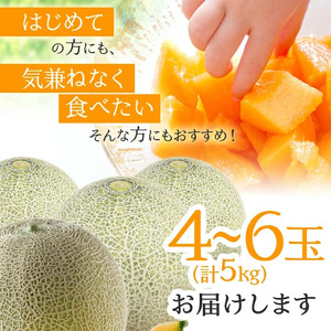 SA2582　庄内砂丘の旬夏 「秀品 赤肉メロン」　約5kg(4～6玉入)