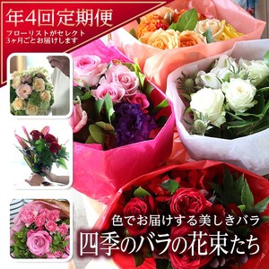SL0221　【4回定期便】美しきバラ 「四季のバラの花束たち」