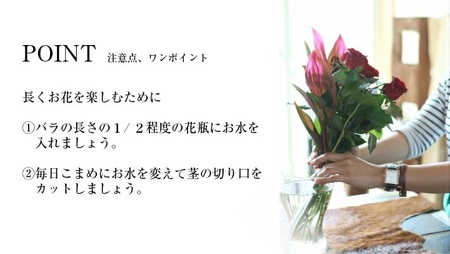 SL0221　【4回定期便】美しきバラ 「四季のバラの花束たち」