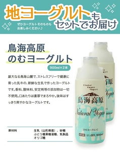 SA1905　酒田の酒屋厳選　「子宝 鳥海山麓ヨーグルトリキュール」と「鳥海高原のむヨーグルト」セット