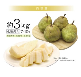 SA2937 有袋栽培 ラ・フランス 約3kg(7~10玉入) 化粧箱入