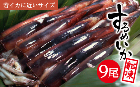 SA0021 酒田港 船内凍結するめいか 3尾×3パックセット