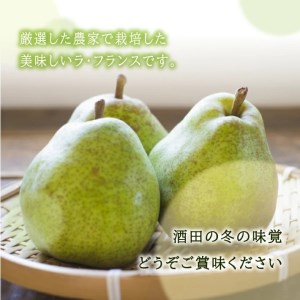 SA2157　特選 庄内産 ラ・フランス　約3kg(7～9玉入)