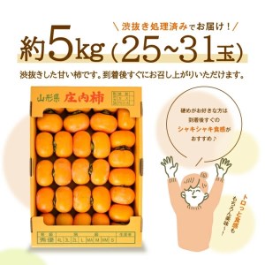 SA2158　庄内柿　約5kg(25～31玉入) L～4Lサイズ