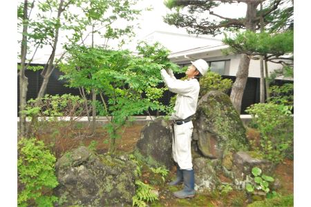 Fs0001 庭木お手入れサービス 庭木の剪定 草刈り２時間 ２人 山形県酒田市 ふるさと納税サイト ふるなび