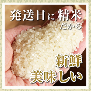 SB0842　令和7年産【精米】有機栽培米 コシヒカリ　5kg(5kg×1袋) YU