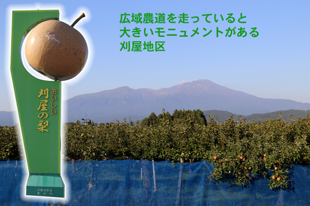 SA2038　酒田産刈屋梨　和梨【豊水】約3kg(6～8玉入り)