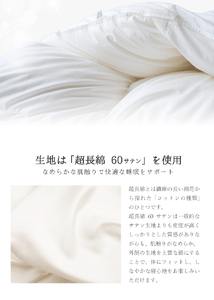 SY0018　【ベッド専用】ベッドをご使用の方に最適な羽毛布団（シングル）