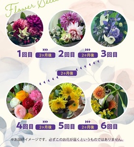 SL0224　【隔月6回定期便】酒田の花束 「季節の花束 SAKATA6」