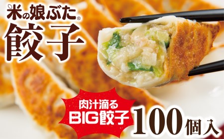 SC0054 米の娘ぶた餃子 100個