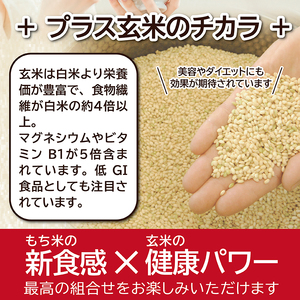 SZ0201　もち米 玄米おにぎり プレーン10個