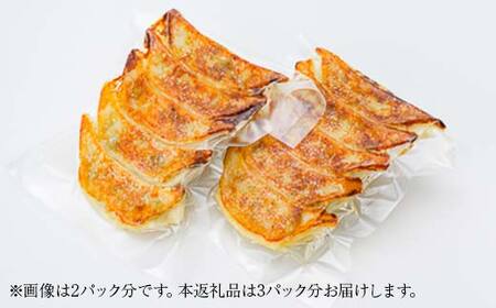 山形 大豆ミート 冷凍餃子 15個 ぎょうざ ギョウザ F3S-1871
