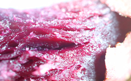 自然栽培 ふくむらさき 5kg 大~小混合 さつまいも サツマイモ 芋 F3S-2642