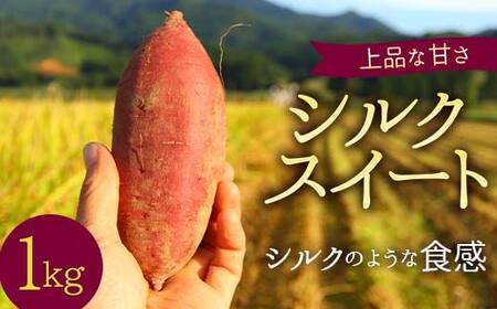 ＜2026年秋収穫分 先行予約＞ 上品な甘さの【シルクスイート】1kg （栽培期間中、農薬、化学肥料不使用） さつまいも サツマイモ 芋 F3S-2615