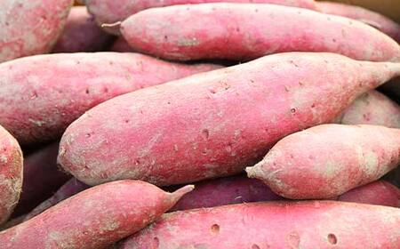 ＜2026年秋収穫分 先行予約＞ 上品な甘さの【シルクスイート】1kg （栽培期間中、農薬、化学肥料不使用） さつまいも サツマイモ 芋 F3S-2615