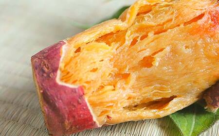 ＜2026年秋収穫分 先行予約＞ 上品な甘さの【シルクスイート】1kg （栽培期間中、農薬、化学肥料不使用） さつまいも サツマイモ 芋 F3S-2615