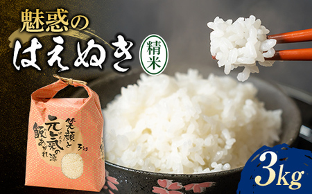 令和7年産 魅惑のはえぬき3kg 米 お米 おこめ ふるさと納税 山形県 新庄市 F3S-2379
