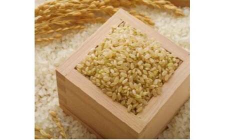 【令和7年産】 山形県産 はえぬき 玄米 5kg 米 コメ こめ F3S-2548