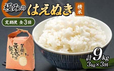 定期便 全3回 極みのはえぬき（精米）3kg 米 お米 おこめ ふるさと納税 山形県 新庄市 F3S-2390
