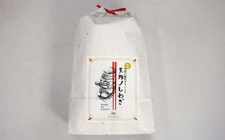 定期便 全3回 極みのササニシキ（精米）5kg 米 お米 おこめ ふるさと納税 山形県 新庄市 F3S-2428