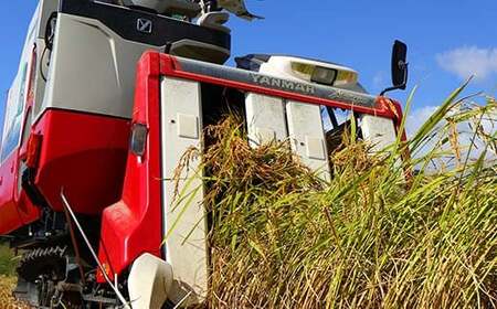 【先行予約】 令和7年産 極みのはえぬき5kg 米 お米 おこめ ふるさと納税 山形県 新庄市 F3S-2432