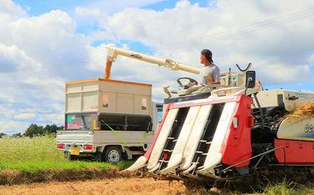 令和7年産 漢方栽培 十四代目のササニシキ 3kg 米 お米 おこめ 山形県 新庄市 F3S-2405