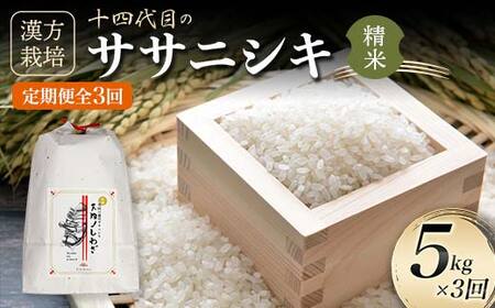 令和7年産 定期便 全3回 漢方栽培 十四代目のササニシキ（精米） 5kg 米 お米 おこめ 山形県 新庄市 F3S-2406
